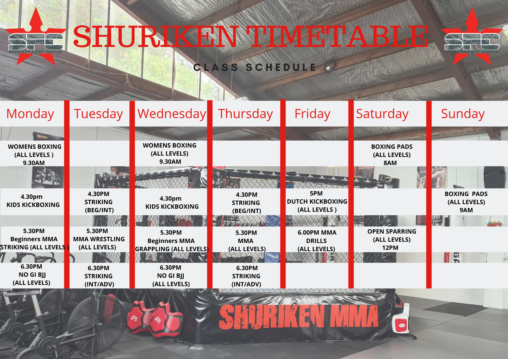 Gray Simple Class Schedule (2).png